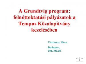 A Grundtvig program felnttoktatsi plyzatok a Tempus Kzalaptvny