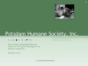 Potsdam humane society