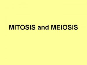 MITOSIS and MEIOSIS Why Do Cells Divide For