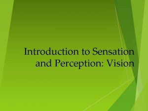 Introduction to Sensation and Perception Vision Sensation Perception