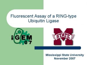 Fluorescent Assay of a RINGtype Ubiquitin Ligase Mississippi