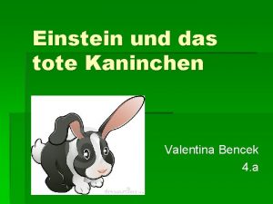 Einstein und das tote Kaninchen Valentina Bencek 4