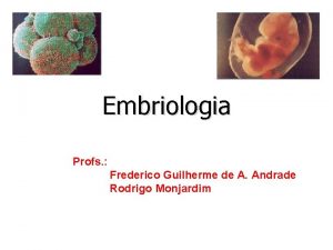 Embriologia Profs Frederico Guilherme de A Andrade Rodrigo