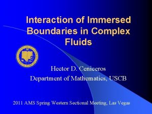 Interaction of Immersed Boundaries in Complex Fluids Hector