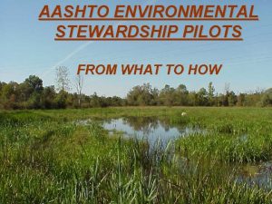 AASHTO ENVIRONMENTAL STEWARDSHIP PILOTS FROM WHAT TO HOW