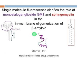 ceramide Single molecule fluorescence clarifies the role of