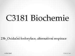 C 3181 Biochemie 23 bOxidan fosforylace alternativn respirace