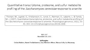 Quantitative transcriptome proteome and sulfur metabolite profiling of