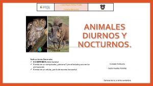 Liceo Miguel Rafael Prado Ciencias Naturales ANIMALES DIURNOS