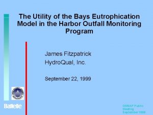 The Utility of the Bays Eutrophication Model in