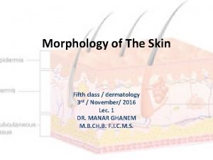 Primary and secondary lesions of skin