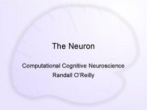 The Neuron Computational Cognitive Neuroscience Randall OReilly The