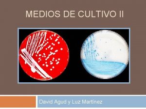 MEDIOS DE CULTIVO II David Agud y Luz