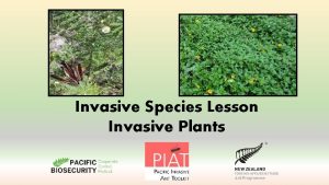 Invasive Species Lesson Invasive Plants What are we