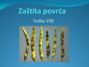 Zatita povra Vebe VIII Antraknoza graka Ascochyta pisi