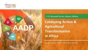 2019 Biennial Review Report Edition Catalyzing Action Agricultural