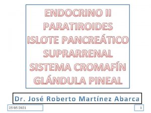 ENDOCRINO II PARATIROIDES ISLOTE PANCRETICO SUPRARRENAL SISTEMA CROMAFN