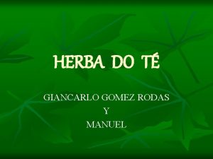 HERBA DO T GIANCARLO GOMEZ RODAS Y MANUEL