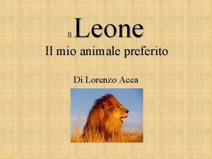 Il Leone Il mio animale preferito Di Lorenzo