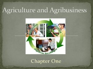 Objectives of agribusiness