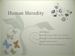 Human Heredity 7 v Karyotype v Single Genes