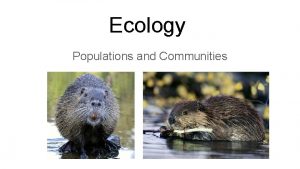 Ecology Populations and Communities What is Ecology Ecology