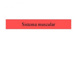 Fibra muscular