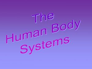 Human Body Systems 113015 Key Question Explain what