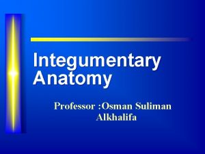 Integumentary Anatomy Professor Osman Suliman Alkhalifa The Skin
