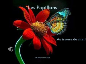 Les Papillons Au travers de citatio Par Nanou