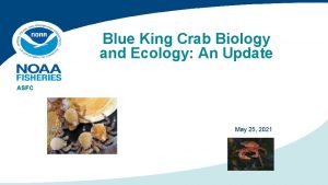 Blue King Crab Biology and Ecology An Update