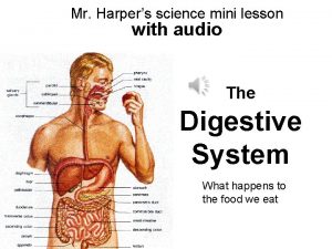 Mr Harpers science mini lesson with audio The