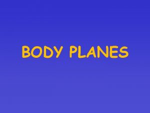 BODY PLANES BODY PLANES Fixed lines of reference