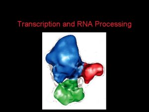 Transcription and RNA Processing RNA Synthesis And Transport