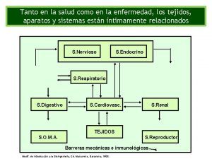 Arterias bronquiales