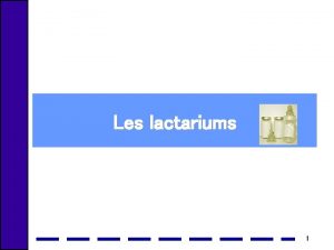 Les lactariums 1 Plan Prambule Historique Dfinition et