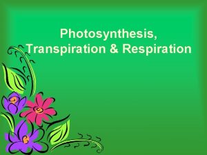 Photosynthesis Transpiration Respiration WARMUP In your own words