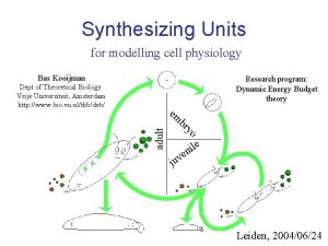 Synthesizing Units for modelling cell physiology Bas Kooijman