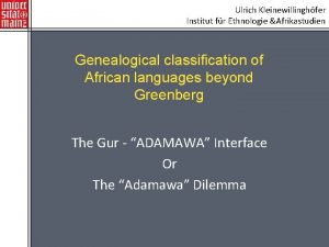 Ulrich Kleinewillinghfer Institut fr Ethnologie Afrikastudien Genealogical classification