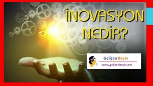 Organizasyon inovasyonu örnekleri Organizasyon inovasyonu örnekleri