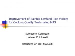 Improvement of Rainfed Lowland Rice Variety for Cooking
