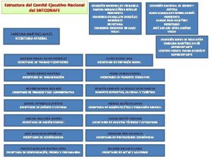 Estructura del Comit Ejecutivo Nacional del SNTCONAFE CAROLINA