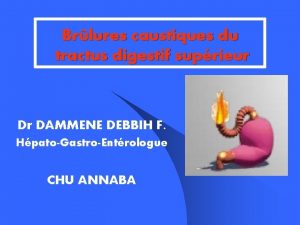 Dr dammene debbih annaba