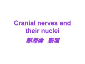 Cranial nerves and their nuclei Cranial Nerves Figure
