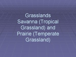 Grasslands Savanna Tropical Grassland and Prairie Temperate Grassland