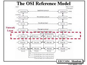 The OSI Reference Model Network Layer EECC 694