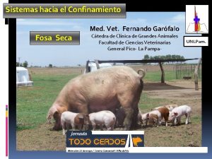 Fosa seca