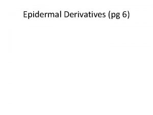 Epidermal Derivatives pg 6 Epidermal Derivatives pg 6