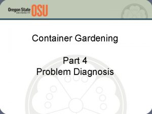 Container Gardening Part 4 Problem Diagnosis Container Plant