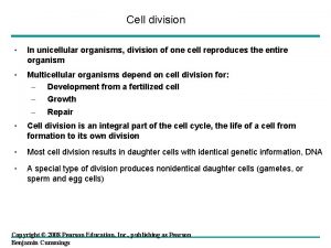 Cell division In unicellular organisms division of one